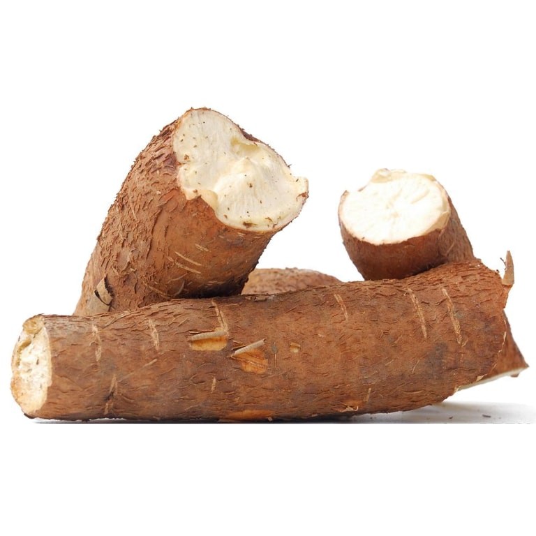 Tubercule de manioc sans gluten