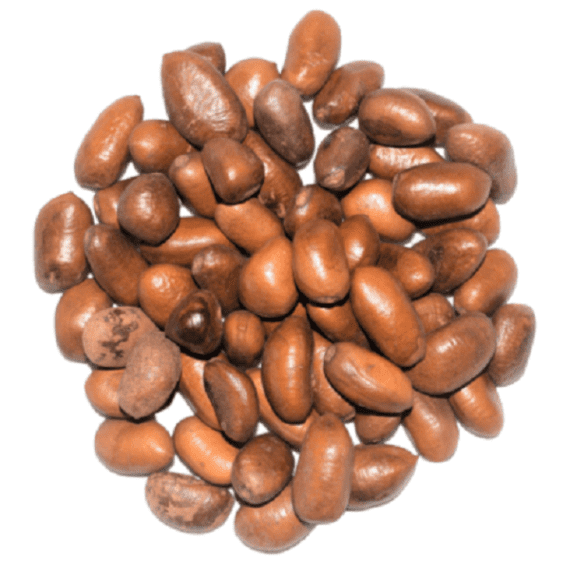 African nutmeg, Afritibi