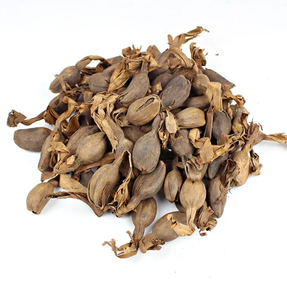 Mbongo tchobi seeds, Afritibi