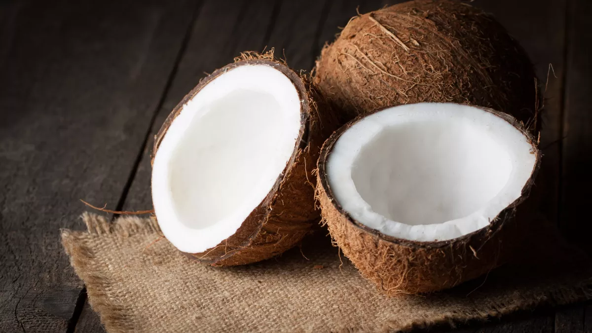 Coconut, Afritibi
