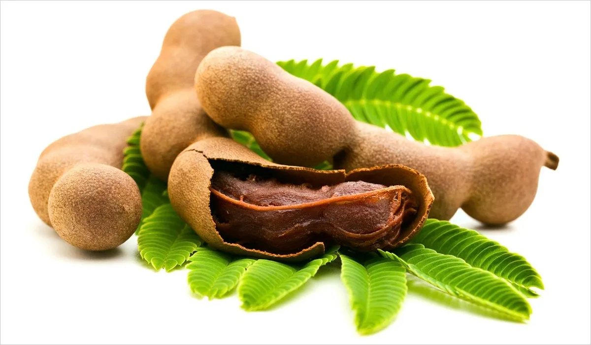 Tamarind, Afritibi